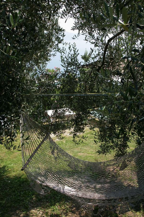 Serena - Nonna Agnese Apartment Gargnano